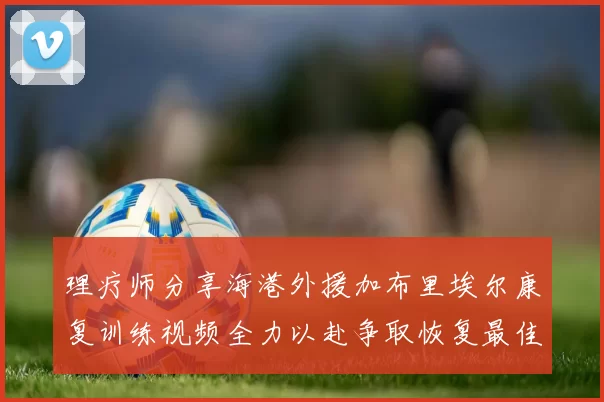 理疗师分享海港外援加布里埃尔康复训练视频全力以赴争取恢复最佳状态