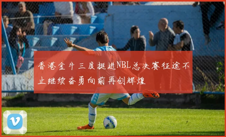 香港金牛三度挺进NBL总决赛征途不止继续奋勇向前再创辉煌